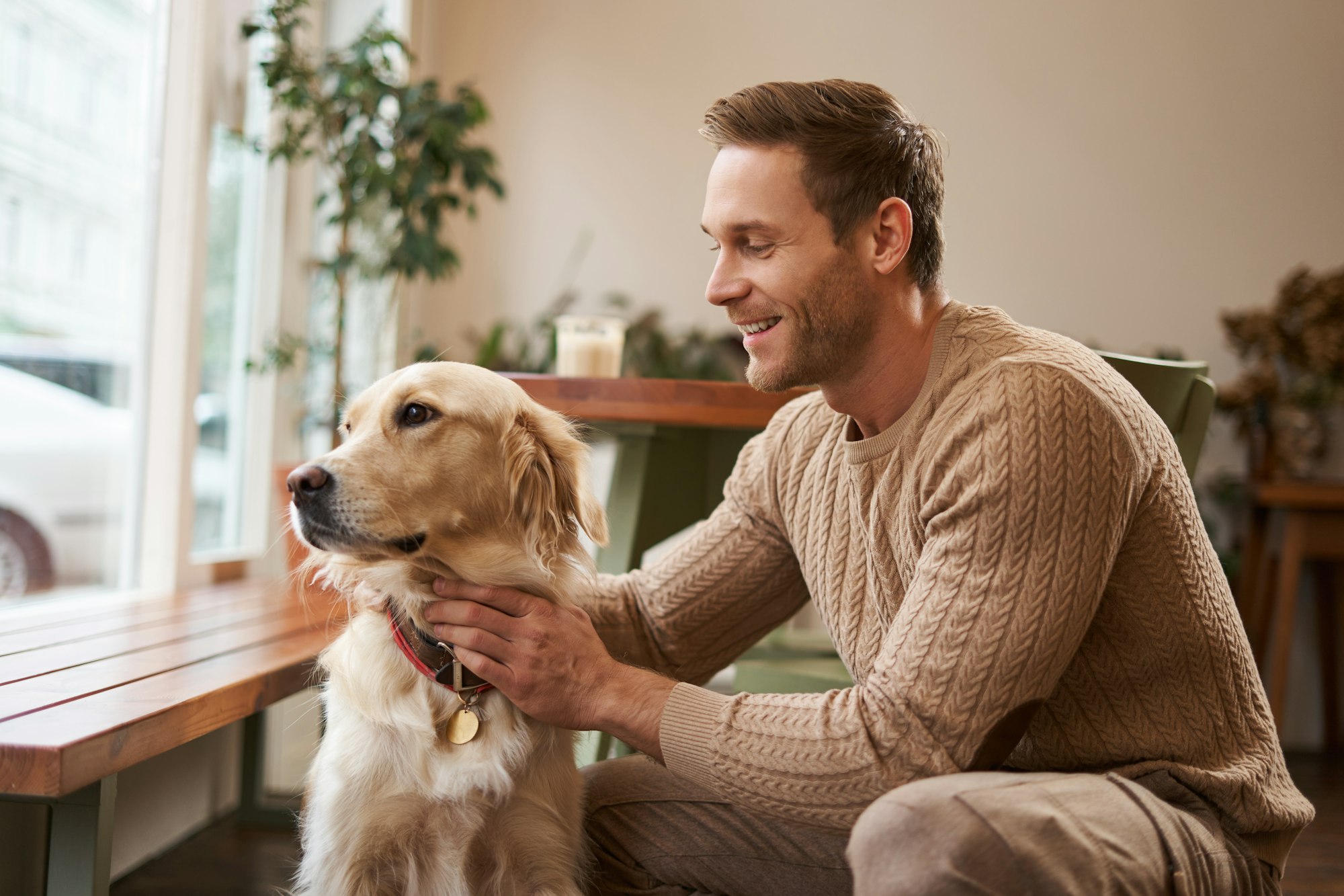Pesit Owner For Pet Owners - Morvet Animal Care