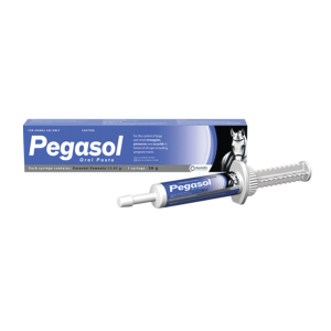 ASCENDIS Pegasol Oral Paste for Horses 26g